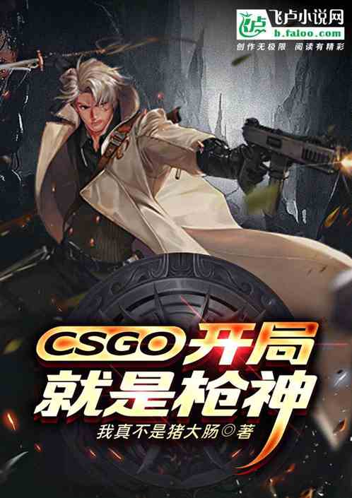 csgo־ǹ